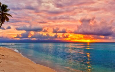 Top Beaches Around the World